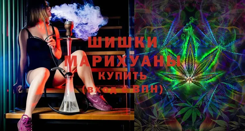 Бошки марихуана SATIVA & INDICA  Змеиногорск 